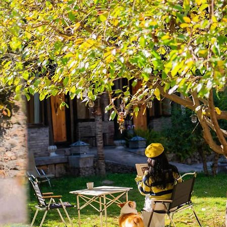 Adonis Inn Lijiang 麗江市 エクステリア 写真
