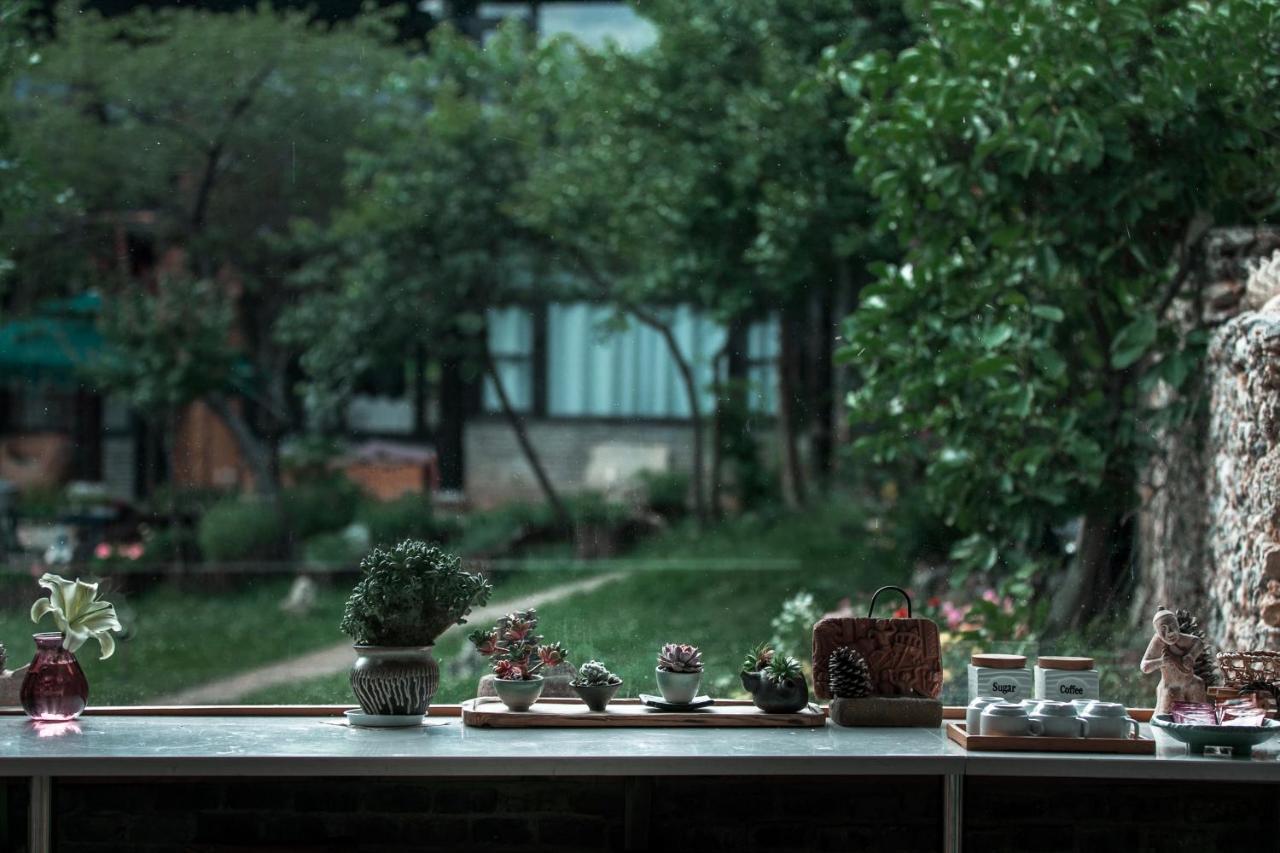 Adonis Inn Lijiang 麗江市 エクステリア 写真