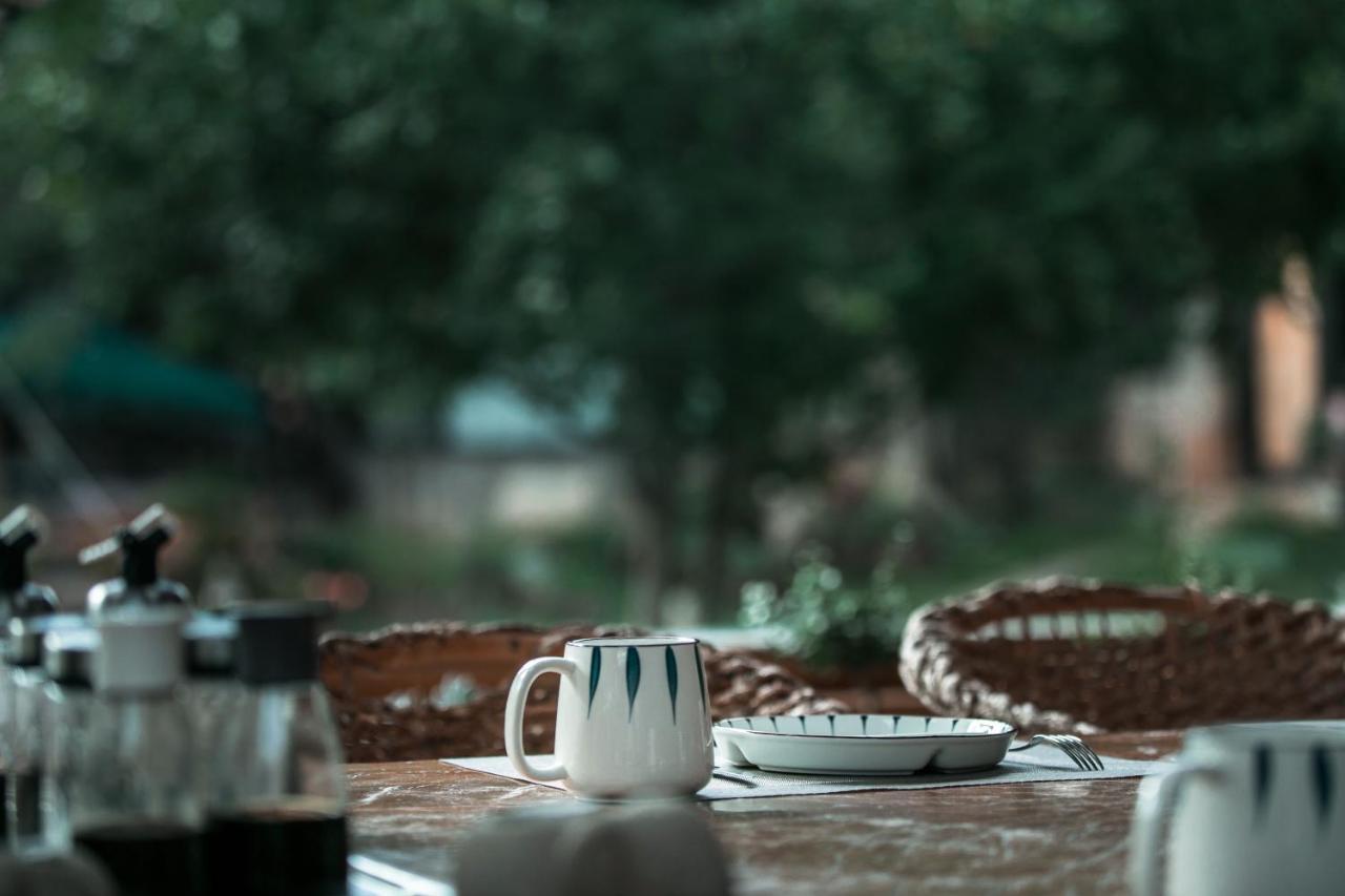Adonis Inn Lijiang 麗江市 エクステリア 写真