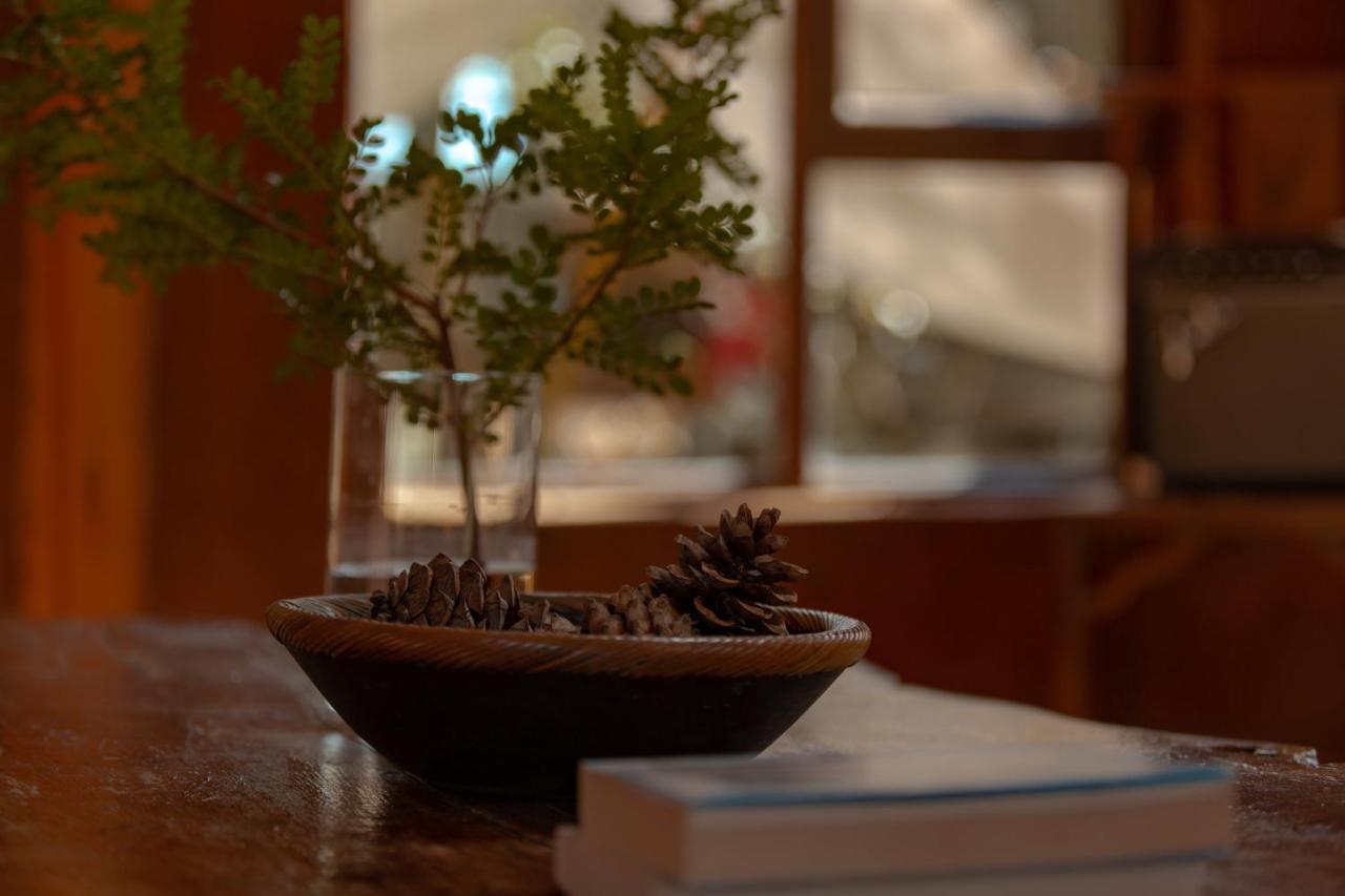 Adonis Inn Lijiang 麗江市 エクステリア 写真