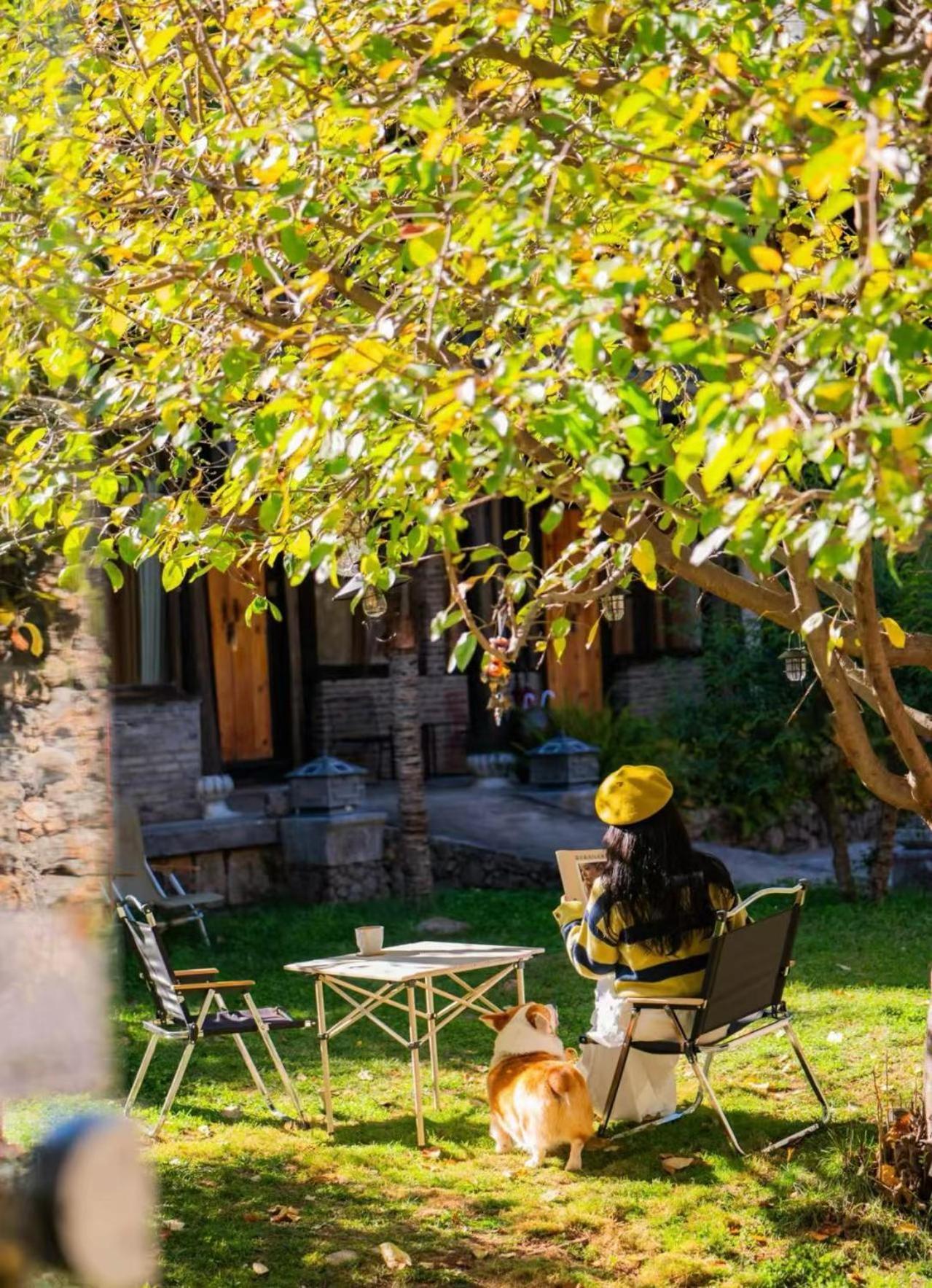Adonis Inn Lijiang 麗江市 エクステリア 写真